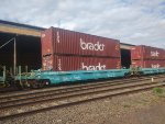 BRAD PRT-065225-3